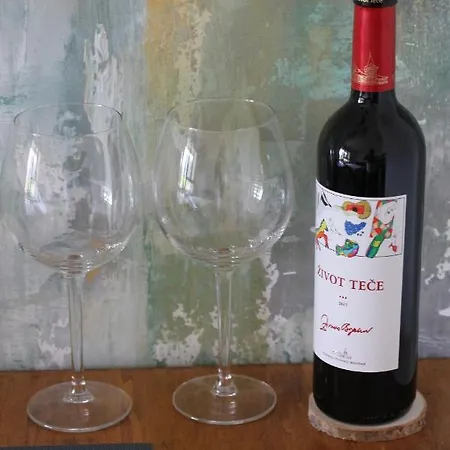 Wellport30 Daire Belgrad