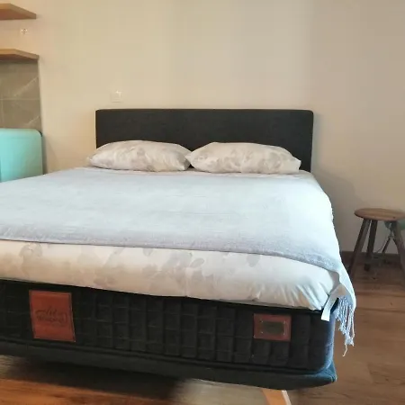 Wellport30 Daire Belgrad